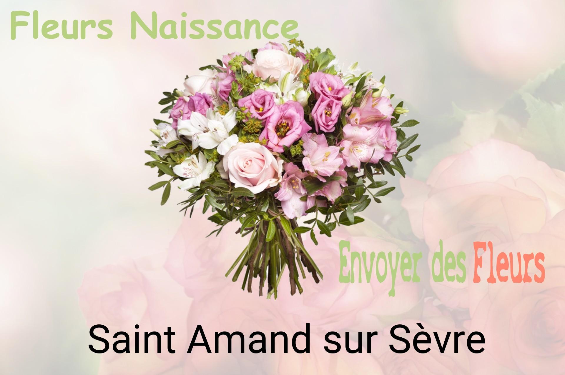 Bouquet de fleurs de naissance livré à Saint-Amand-sur-Sèvre
